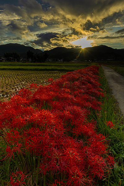 亀岡 曽我部町_e0051888_05373020.jpg