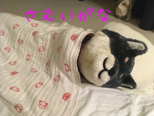酢の物の酢_f0369014_19183993.jpeg