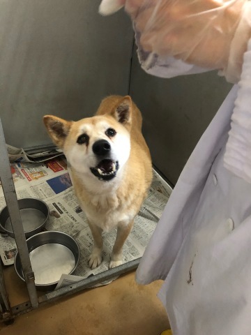_f0078320_15134719.jpeg
