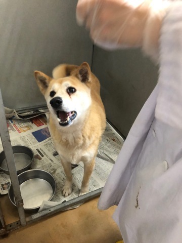 _f0078320_15135909.jpeg