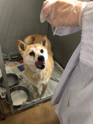 _f0078320_15141466.jpeg