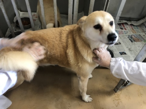 _f0078320_15144223.jpeg