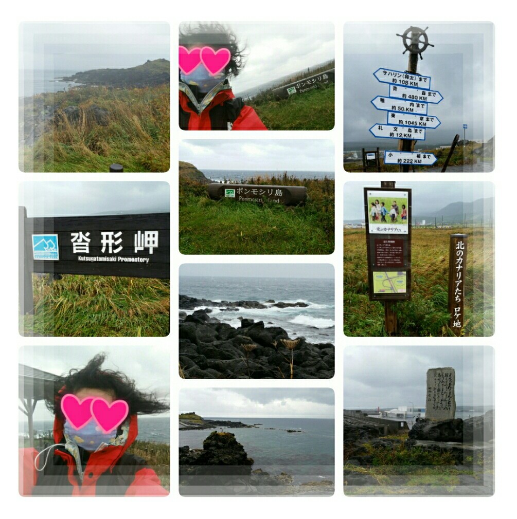 ２０２０年９月北海道 利尻島 礼文島旅行 コグマの気持ち