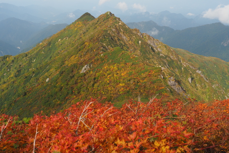 ダイグラ尾根から梶川尾根 2020/10/3〜4 その1_b0189948_23113679.jpeg