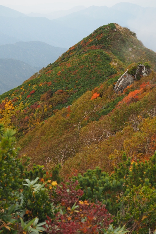 ダイグラ尾根から梶川尾根 2020/10/3〜4 その1_b0189948_23315550.jpeg