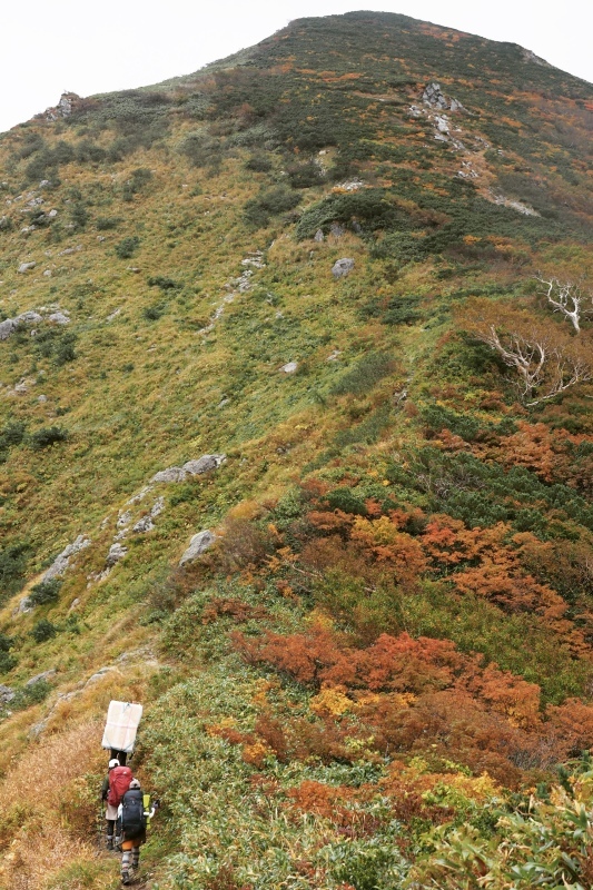 ダイグラ尾根から梶川尾根 2020/10/3〜4 その1_b0189948_23402166.jpeg