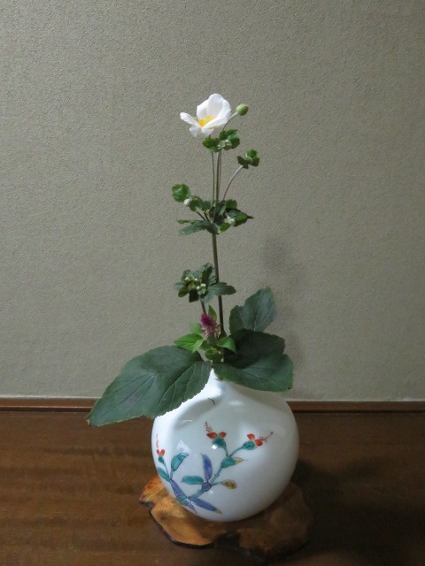 名の如く、秋の花・秋明菊_f0329849_22481015.jpg