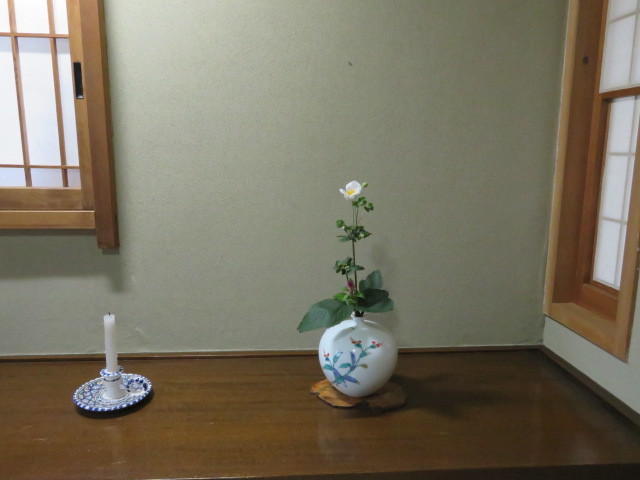 名の如く、秋の花・秋明菊_f0329849_22482445.jpg