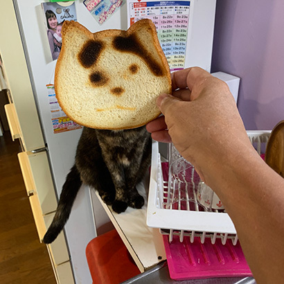 ねこねこ食パンをナナクロパンにする。_a0028451_17072734.jpg