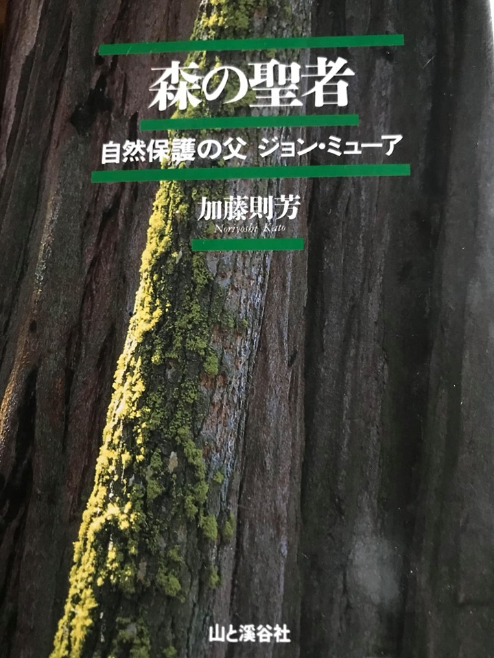 7月16日 もうすぐ梅雨明け_b0160957_09381697.jpg