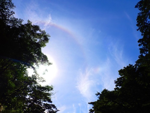 7月16日 もうすぐ梅雨明け_b0160957_09580096.jpg