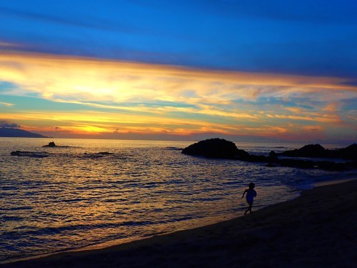 7月16日 もうすぐ梅雨明け_b0160957_10134227.jpg