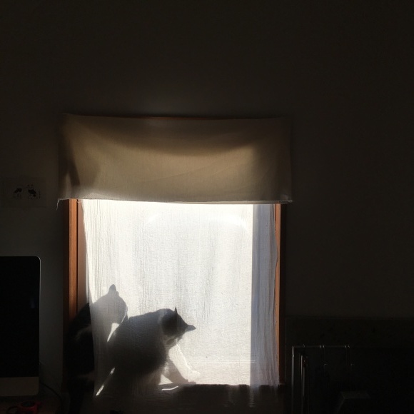 10月の庭カフェ_b0340858_13462494.jpeg