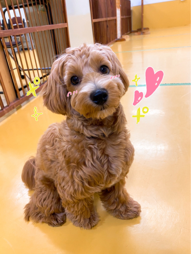 お泊まり頑張りました( *˙ω˙*)و グッ!_f0357682_20250200.jpg
