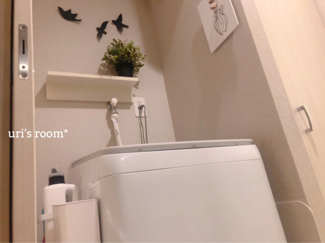 洗面所に新しく棚を設置しました。泣きながら。_a0341288_15284976.jpg