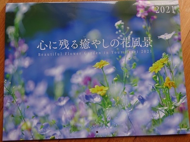 来年からディズニーカレンダーはもう卒業です 50代主婦 わくわく生活始めました 毎日ちょっぴり幸運が訪れる暮らし