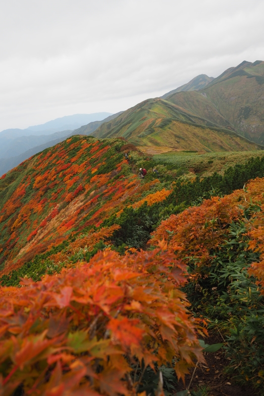 ダイグラ尾根から梶川尾根 2020/10/3〜4 その2_b0189948_21453991.jpeg