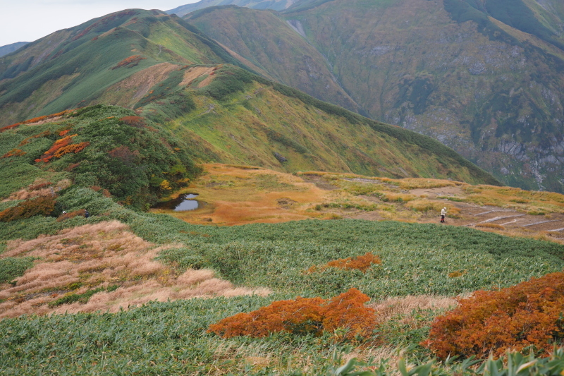 ダイグラ尾根から梶川尾根 2020/10/3〜4 その2_b0189948_21492096.jpeg