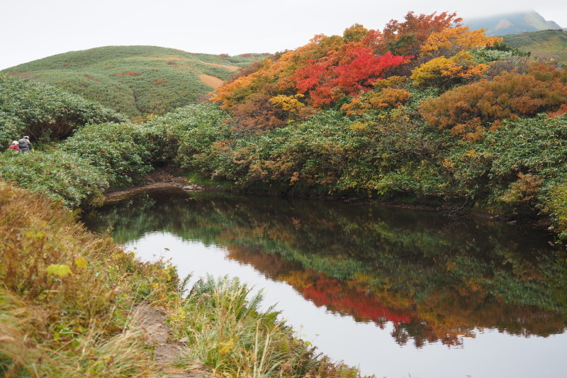 ダイグラ尾根から梶川尾根 2020/10/3〜4 その2_b0189948_21584722.jpeg