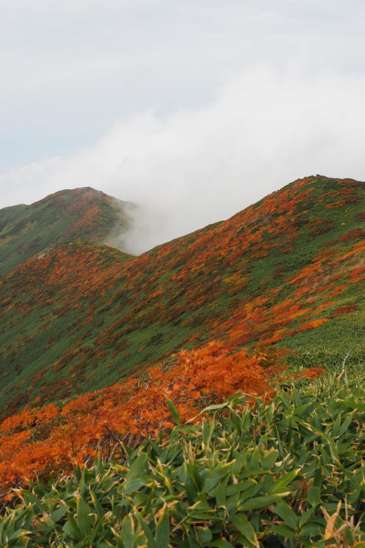 ダイグラ尾根から梶川尾根 2020/10/3〜4 その2_b0189948_22123530.jpeg