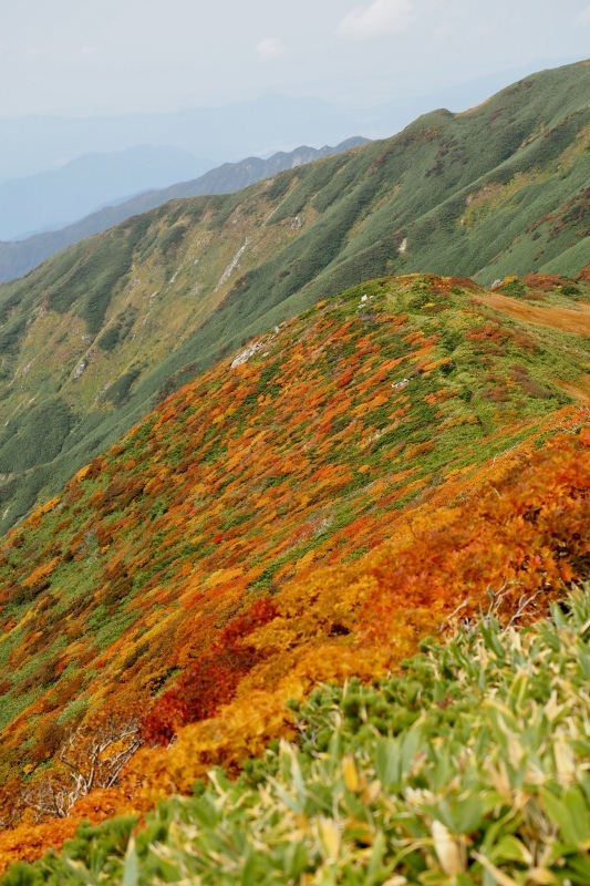 ダイグラ尾根から梶川尾根 2020/10/3〜4 その2_b0189948_22153355.jpeg