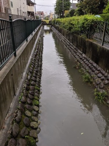 1年前の台風を忘れずに_a0329563_23102262.jpg