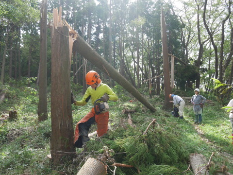 第22回かまくら市民活動フェスティバルに参加申し込み10・9_c0014967_12394209.jpg
