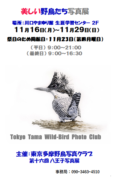 Eosrの飛びものの撮り方 測光ポイント領域拡大しないとａｆフォーカス出来ない 野鳥と野鳥写真 観察と展示