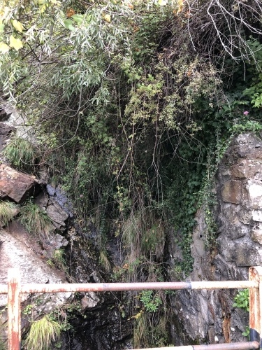 養蜂家を訪ねてー_d0136540_22465345.jpeg