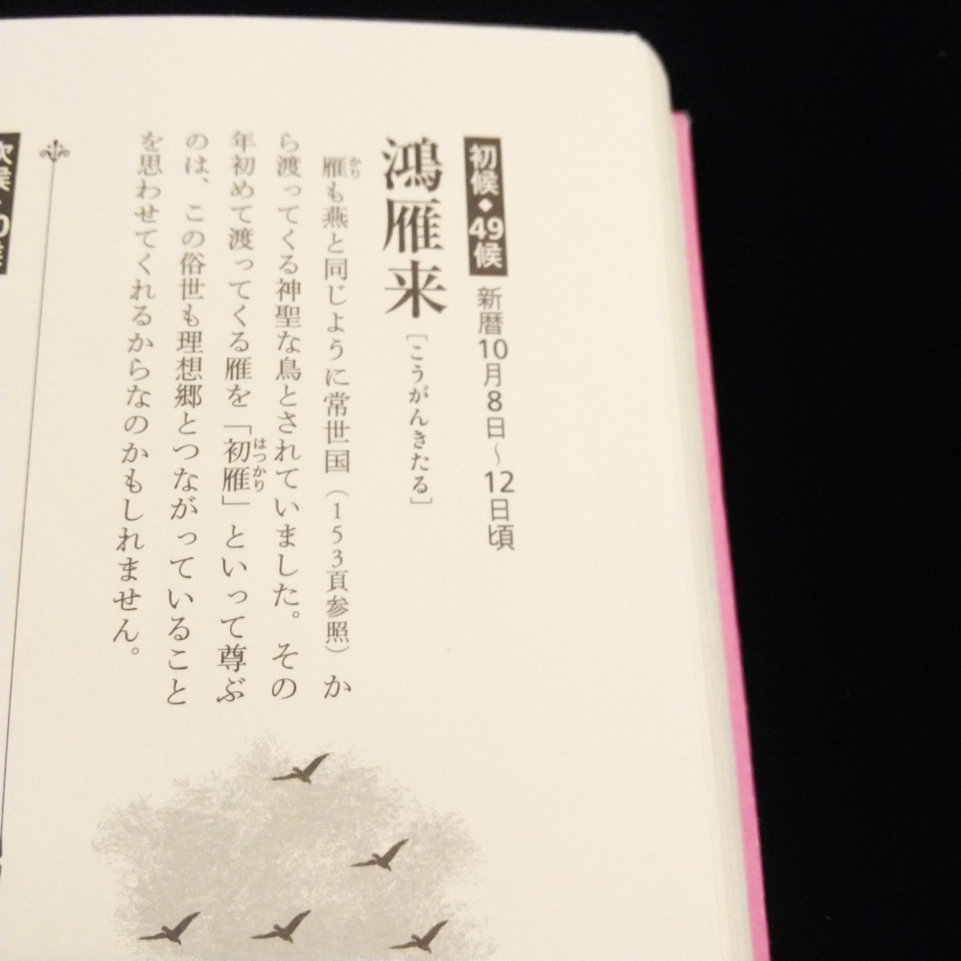 201010 七十二候「鴻雁来(こうがんきたる)」_f0164842_13370495.jpg