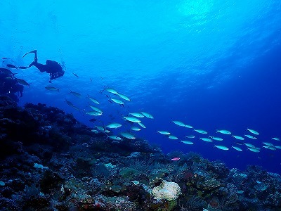 10月10日 天気・海況回復_d0113459_19101744.jpg