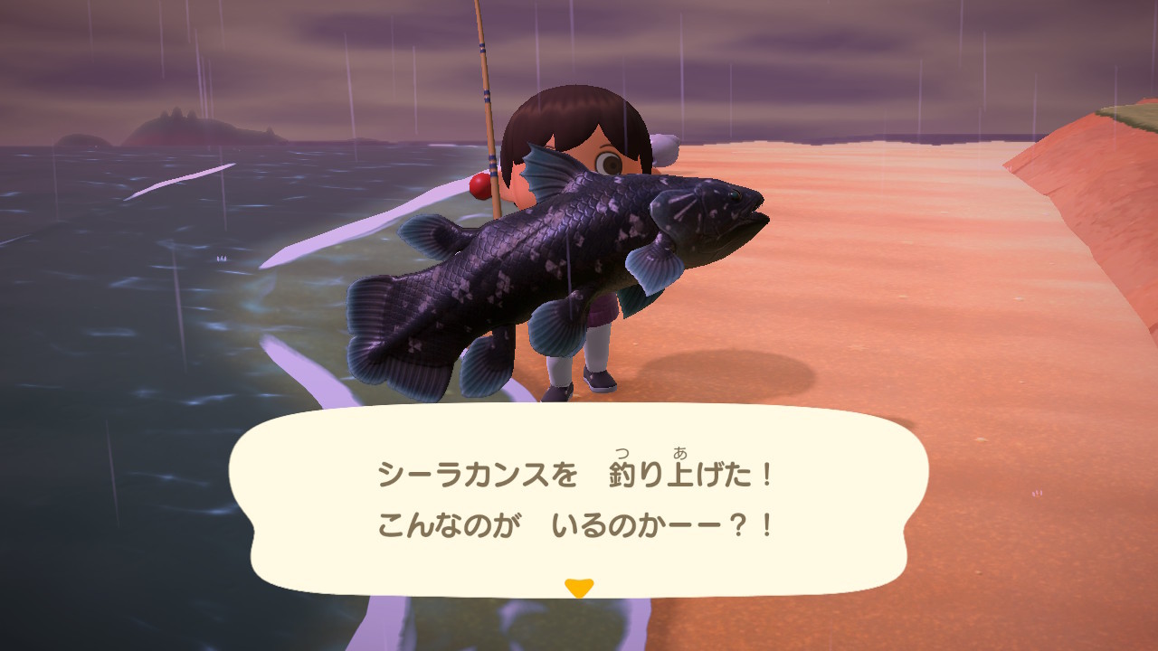 Switch あつ森 雨の日限定の海魚シーラカンスの初釣りにフレンドさんと挑む ゲームに漫画 時々看護師 Switch あつ森 雨の日限定の海魚シーラカンスの初釣りにフレンドさんと挑む ゲームに漫画 時々看護師