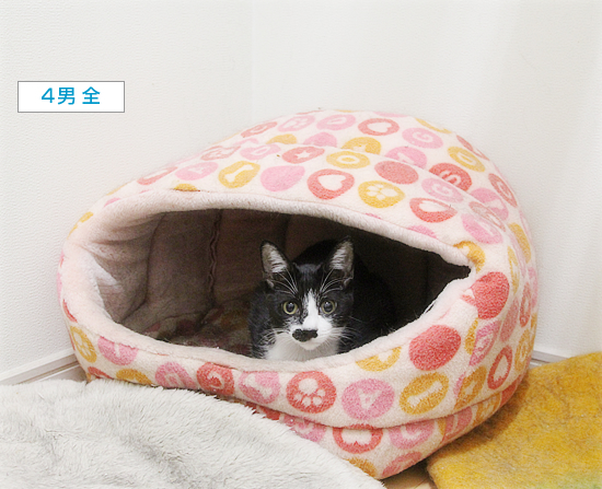 かまくらの使い方 ちいさなチカラ かまくらの使い方 ちいさなチカラ