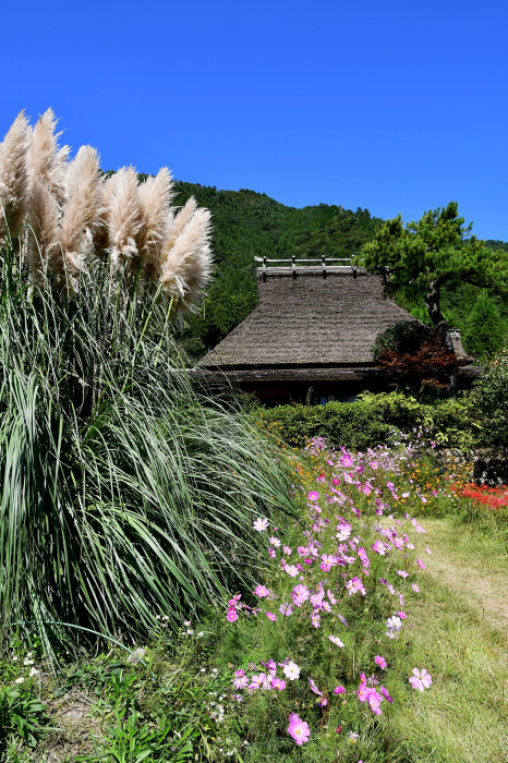 美山徘徊2020　秋の茅葺を見る2_f0374895_00223377.jpg