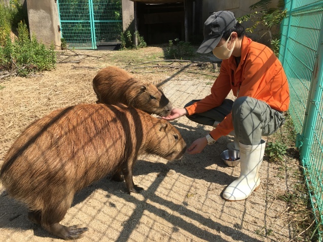秋の味覚を味わう!_c0290504_14181898.jpg