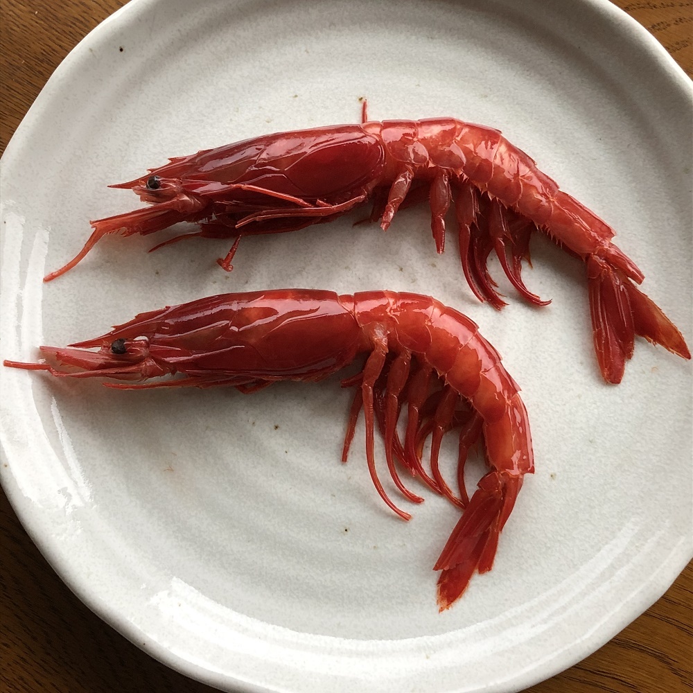 メルボルン美味しい生活 メルボルン美味しい生活