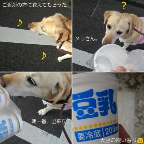半田素麺、かがやのつゆ&出来立て豆乳_b0339522_21353807.jpg