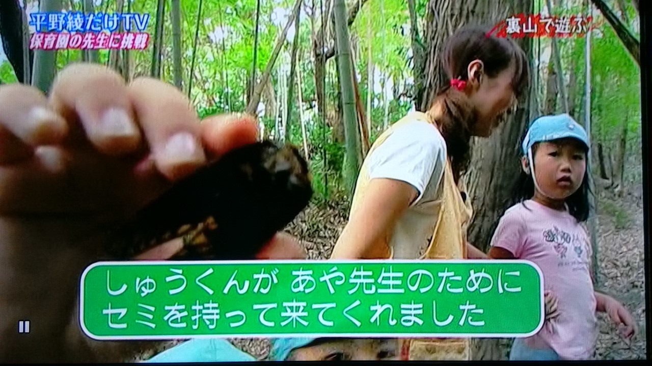 平野綾だけTV DVD出しちゃったんだぞ 全4巻セット Amazon.co.jp: 平野綾だけTV DVD出しちゃったんだぞ2009 Vol.2