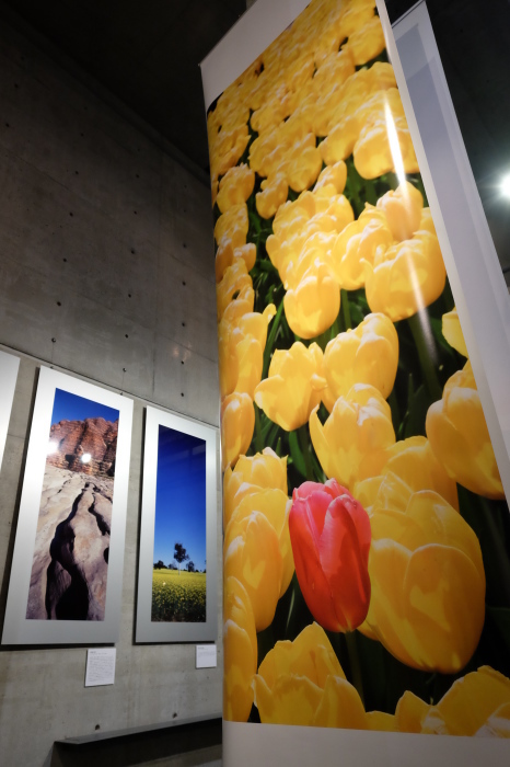 写真展 空間_f0050534_09542297.jpg