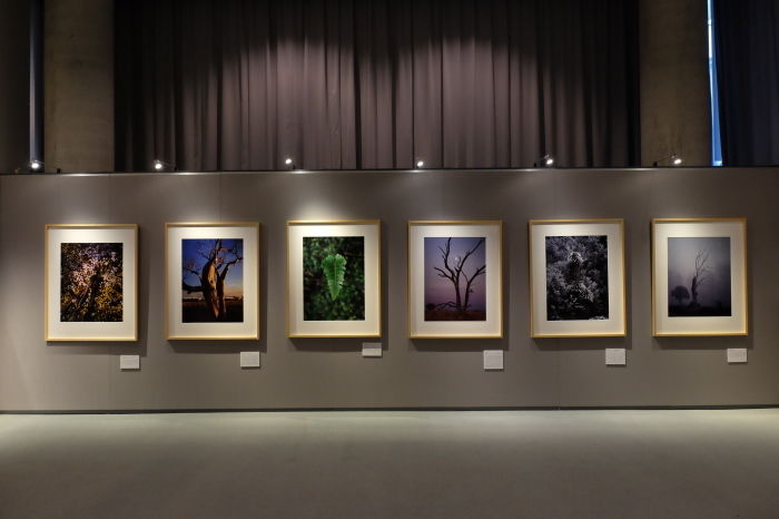 写真展 空間_f0050534_09550388.jpg