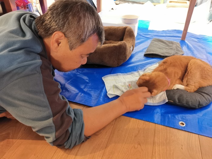 ラッキーさん お家猫化計画_f0050534_10403633.jpg