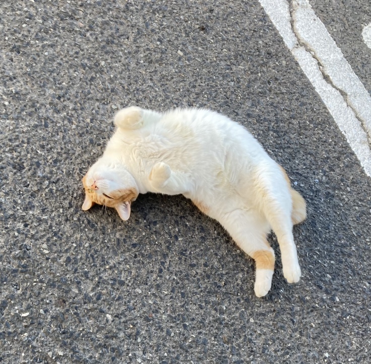 iPhoneSE2 #2_b0060239_09211499.jpeg