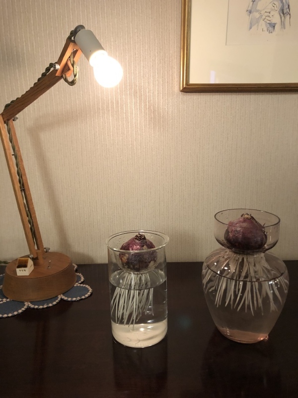灯りの下で_c0331864_22200035.jpeg
