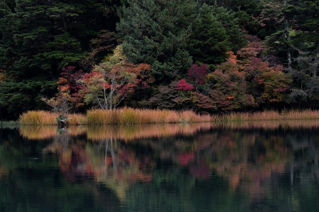 紅葉 奥日光湯ノ湖にて ２０２０ １０ １１撮影 常陸のt S Blog