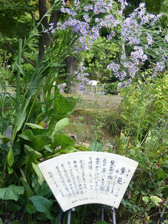 城南宮　方除けの大社_e0048413_20331923.jpg