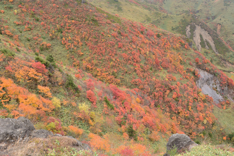 小串鉱山跡に小旅行_c0107129_21534422.jpg