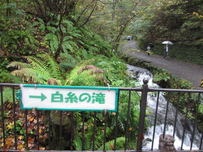 雨の軽井沢 白糸の滝_f0364035_21562278.jpg