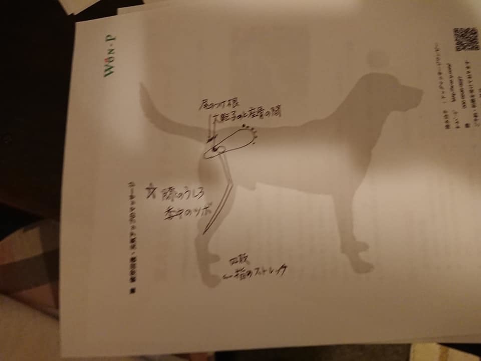 はばたけ ｍｙ ｓｏｕｌ