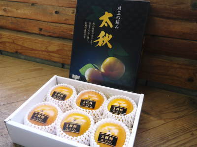 太秋柿 令和2年度の古川果樹園さんの『太秋柿』は収穫できた分だけの出荷で正式販売は中止となりました_a0254656_18521524.jpg