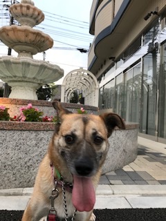 笑って!_b0203758_14284259.jpg